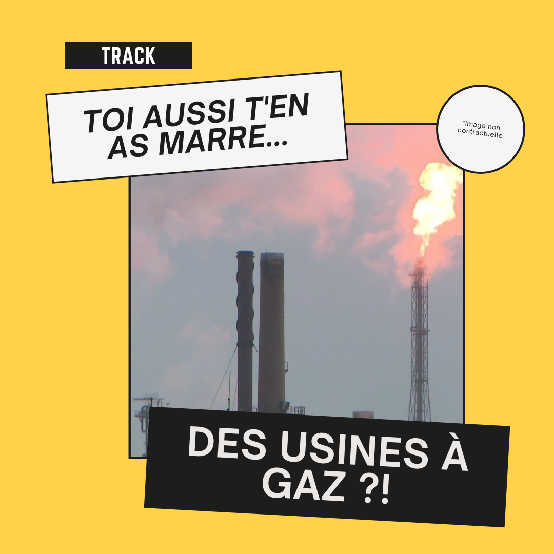 Usine à gaz